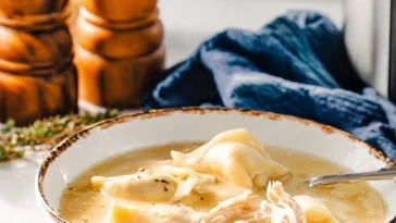 Delicious serving of Chicken and Dumplings with herbs and spices