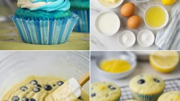 Blueberry lemonade cupcakes with frosting and fresh blueberries on top